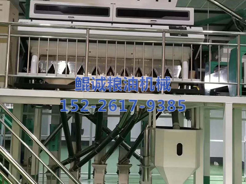 豆类加工设备色选机