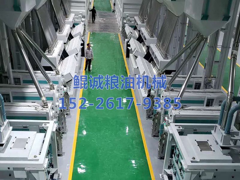 300吨大米加工设备