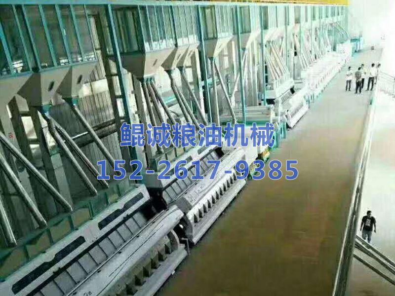 250吨大米加工设备