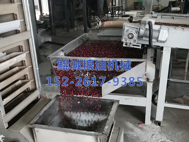 红腰豆打包