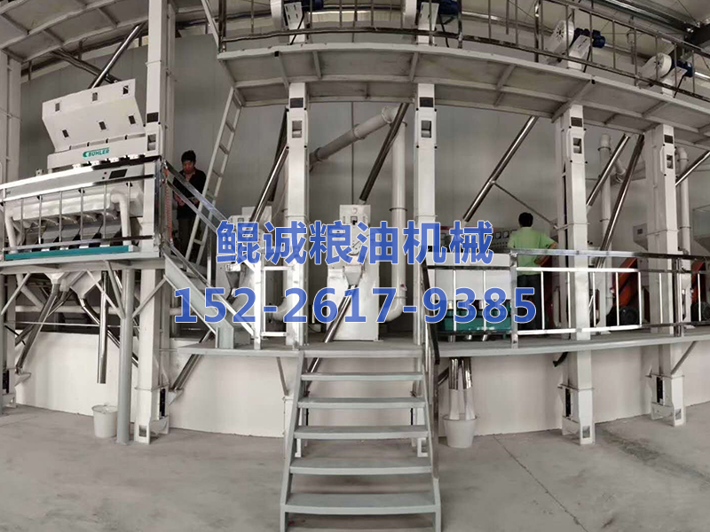 50吨大米加工设备