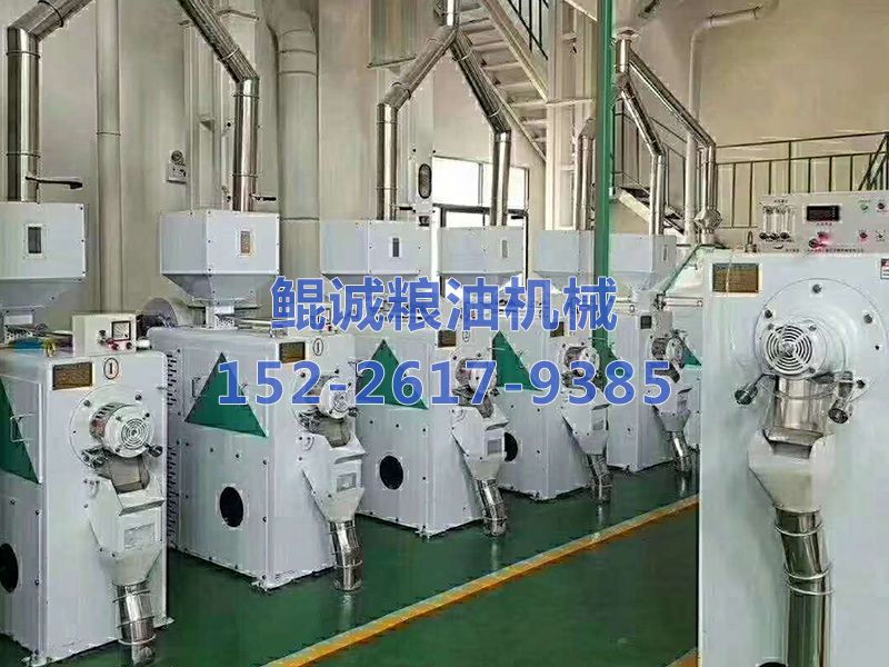 100吨大米加工设备